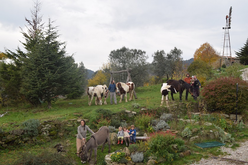 agriturismo nel chianti sostenibile